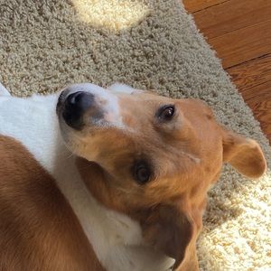 Meet your Posher, Colin